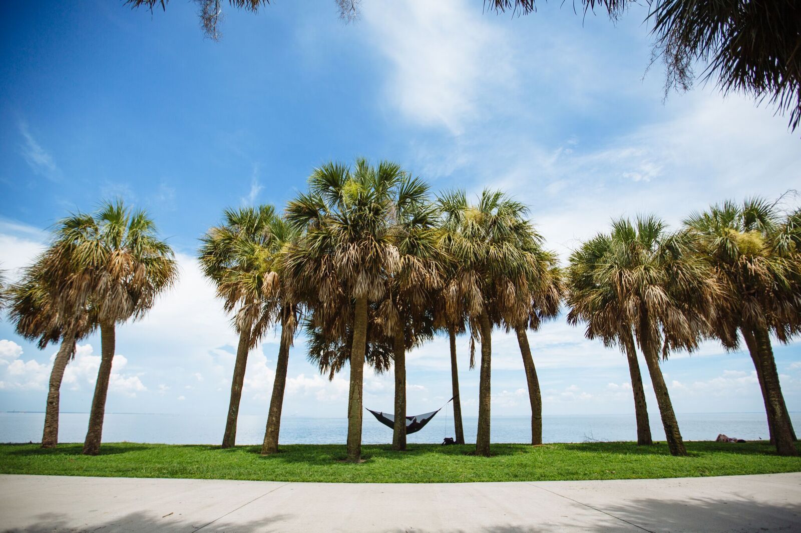 Register Now St Pete Run Fest